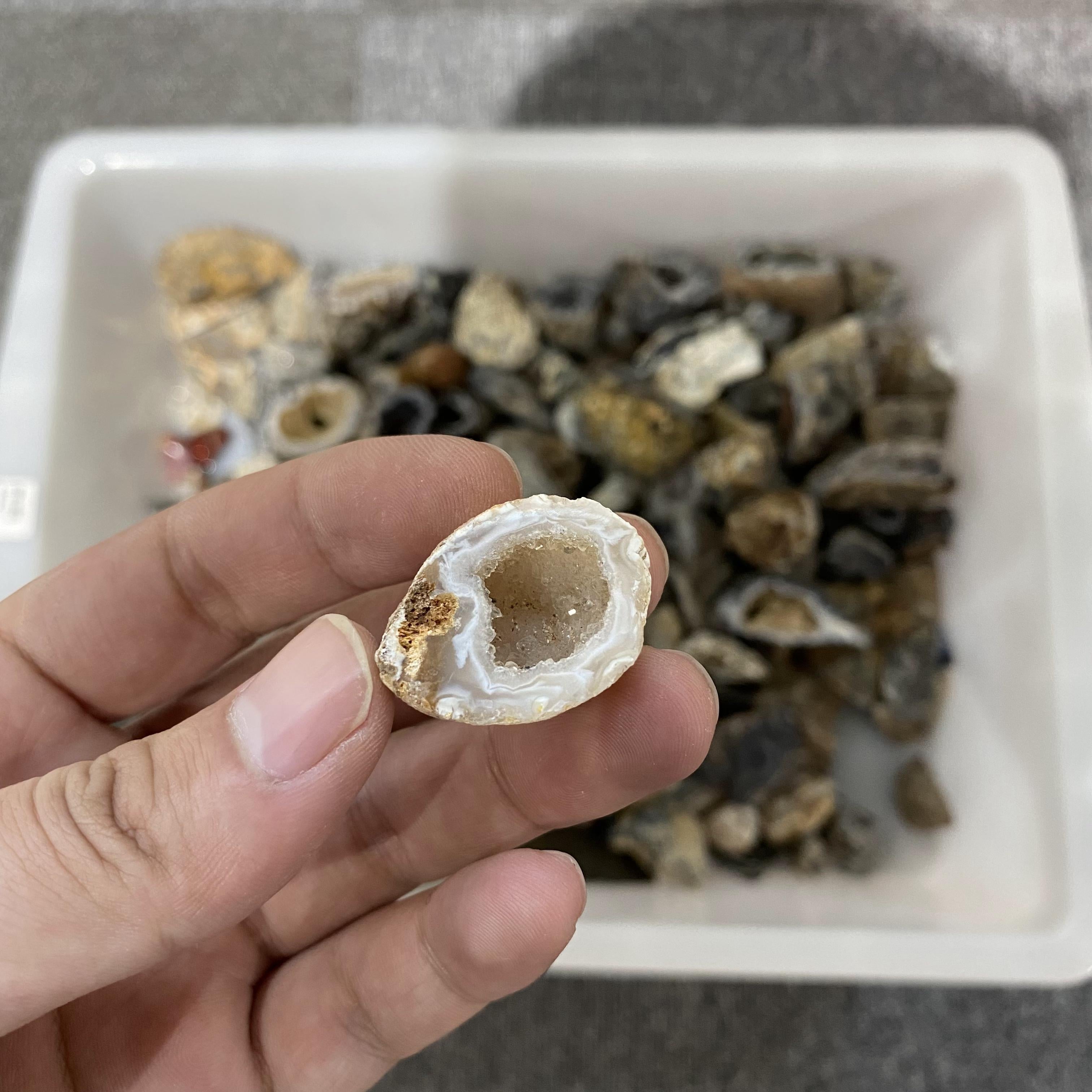 Agate Geode In Bulk
